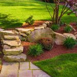 A backyard with a rock wall and rock stairs with a red tree on top.